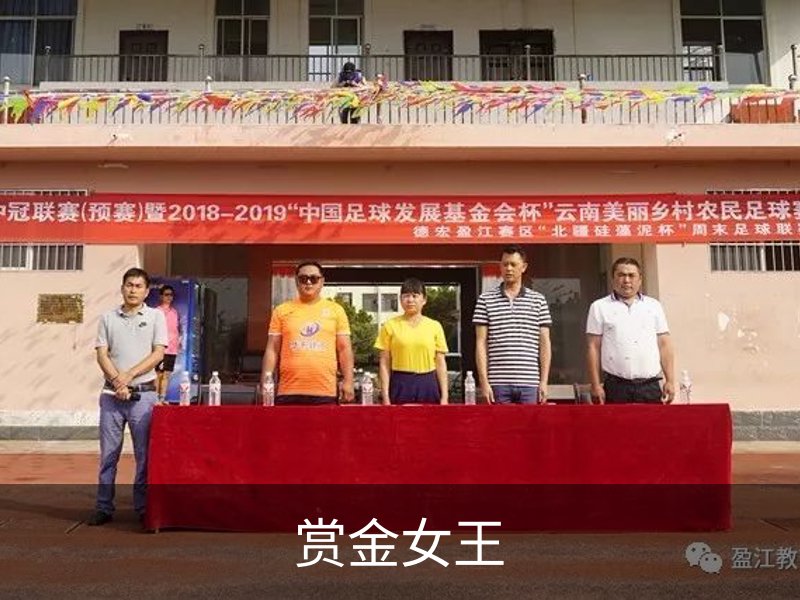 赏金女王简介